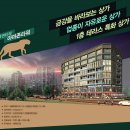 금강당구장 이미지