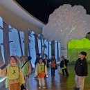 드림태권도 이미지