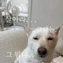 복 - 동구 부산진성공원로 24 | 복