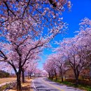 송해보건지소 이미지