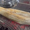 도림장어 이미지