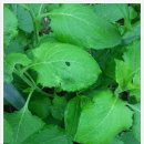 영운농장 이미지