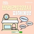 강아지분양 고양이분양 헬로브리더 이미지