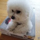 그루밍샵 0105 이미지