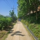 포항상생숲길(효자교회앞) 이미지