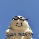육회포장 이미지