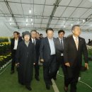 복돼지동산 이미지