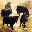 진주역 차량정비고 이미지