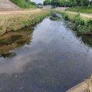 고잔농장 이미지