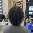 부산 남자펌 ,장발히피펌 ✂️ 자유로운 무드, 제대로 살리는 법_살롱드 오블리오