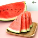 맹동할인마트 | 프리미엄 당도선별 산지직송 꿀수박 내돈내산 후기