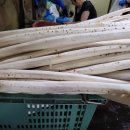 대일상회 이미지