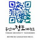 용인대정도태권도체육관