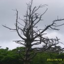 영각사주차장 이미지