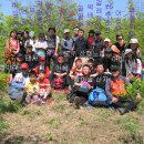 철쭉 산행-오늘의 컨셉은 아무래도~~석화촌,서리산,축령산 후기
