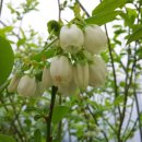 재학농장 이미지