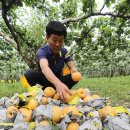 배들농장 이미지