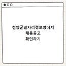 맘스터치 충남 청양점