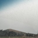 제주종합경기장연정정구장 | 2/15-16 서귀포칠십리 테니스대회로 고고한 주말기록