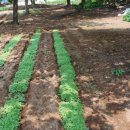 산골자전거 이미지