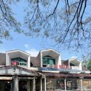 대복동태 이미지