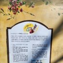 마비정 누리길 | 대구 근교 아이와 가볼만한곳 마비정 벽화마을