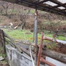 산이축산 이미지