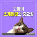 형곡동물병원 이미지