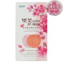 샌드블라썸 이미지