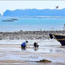 갯벌이야기 이미지