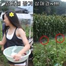 꽃순이 이미지