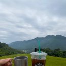 옥천1382 이미지