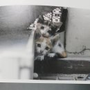 경태농장 이미지