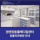 정 메디컬 동물병원 | [공지] 권앤정 24시 수원동물메디컬센터 동물외과병원 안내