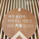 괴산교육도서관 | 충북 괴산가볼만한곳 좋은 치유관광 충북 여행지 괴산자연드림파크