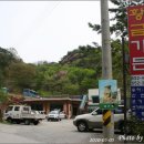 황금가든 이미지