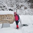 죽령휴게소 이미지