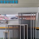 방충망대통령 이미지