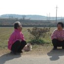 허리튼튼한의원 이미지