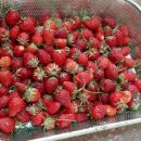 새솔펜션 이미지