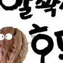 법인월넛팜