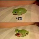 호텔 아크로 이미지