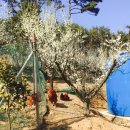 솔토락펜션 이미지