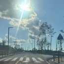 일산5리 이미지