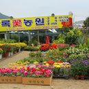 순동농장 이미지