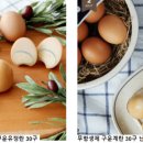 누비는곳서정