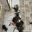 동해화장실 이미지