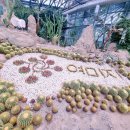 가을코스2 이미지