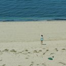 더비치하우스 이미지