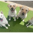 아이조아요양보호소 안양점 이미지